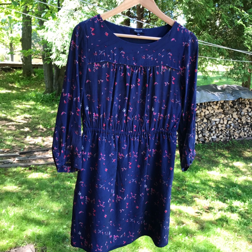 Madewell Silk Navy Blue Bird Pattern Dress